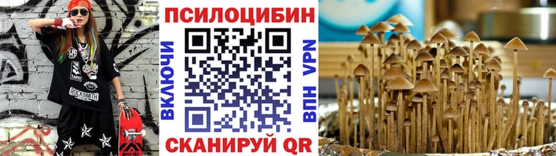 где продают наркотики  Александровское  Галлюциногенные грибы мицелий 